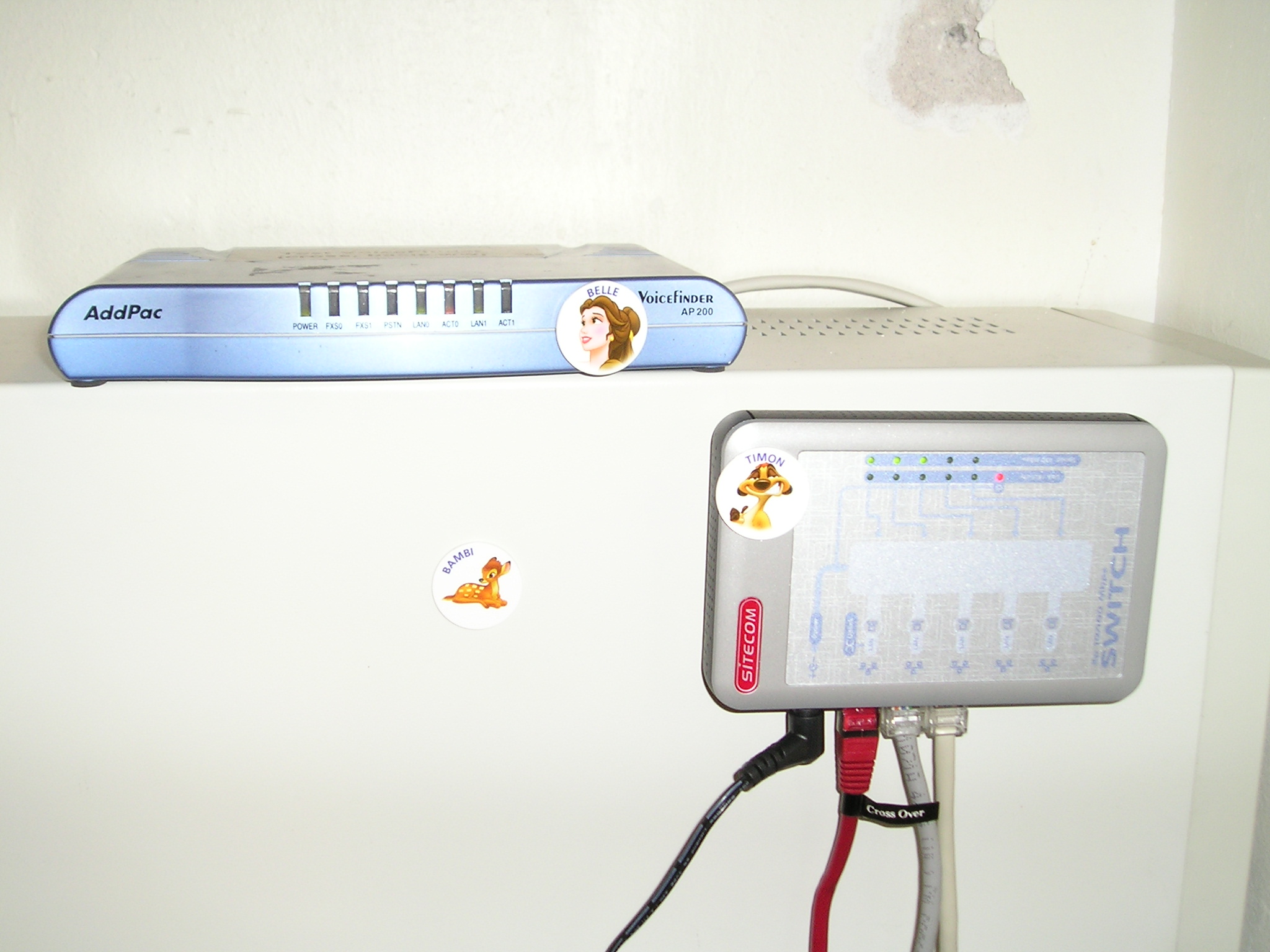 Belle, Bambi en Timon